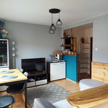 우스트르치키 돌네 Apartament Bieszczadzka Aniolomania 아파트 외부 사진